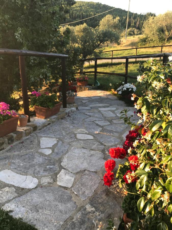 Salto Di Gatto Villa Castellina in Chianti Kültér fotó